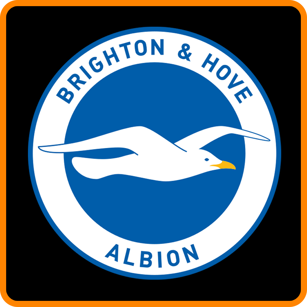 Brighton & Hove Albion